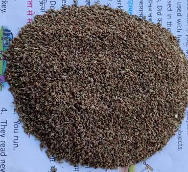 Organic Ajwain